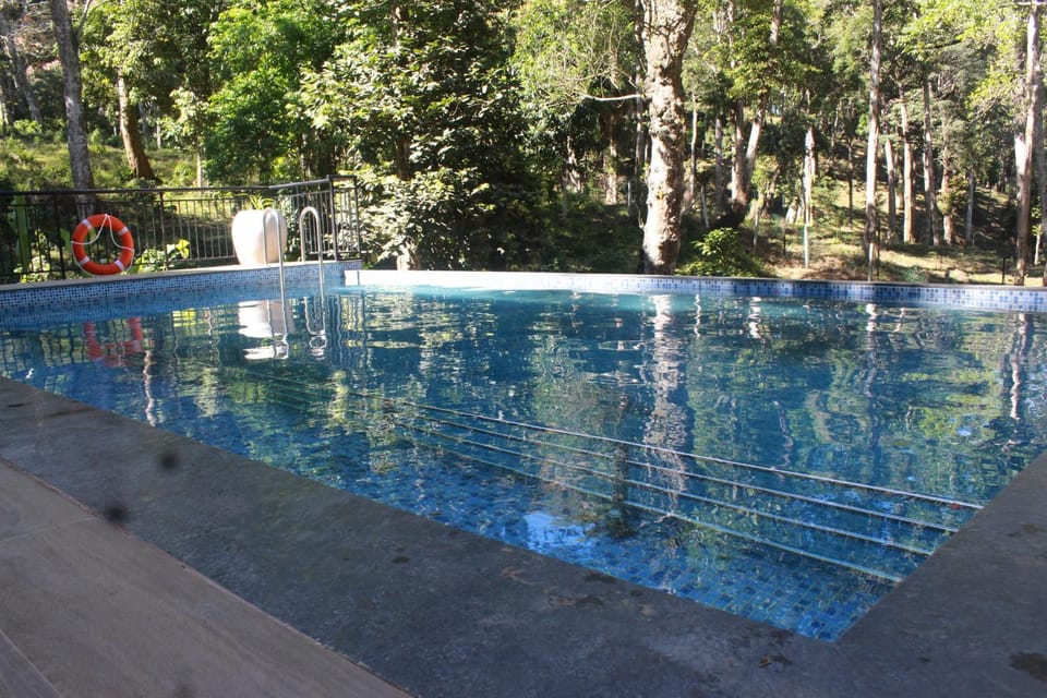 Swimming pool, Swimming pool