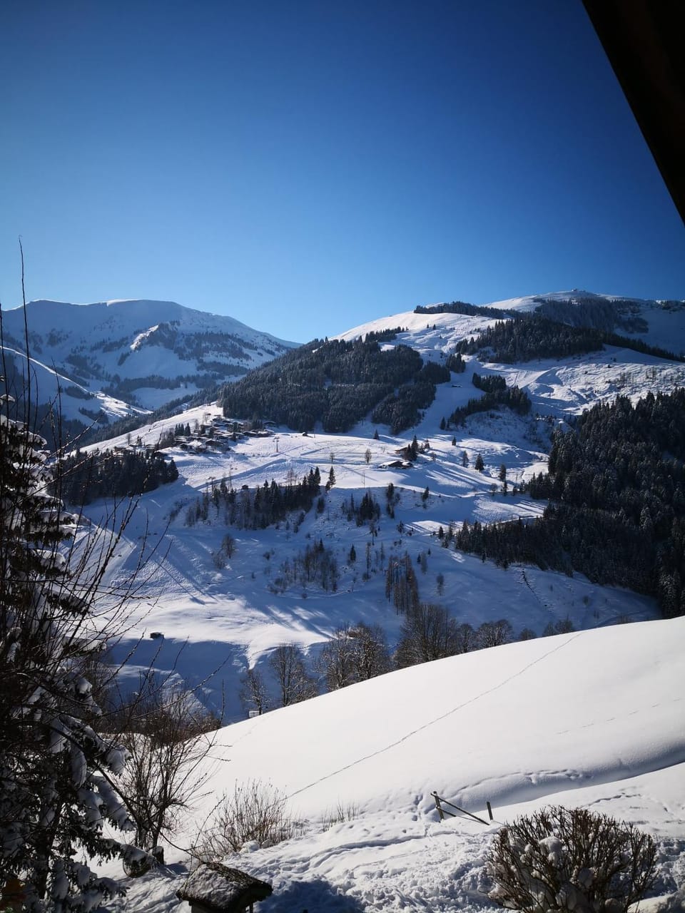 Mountain view