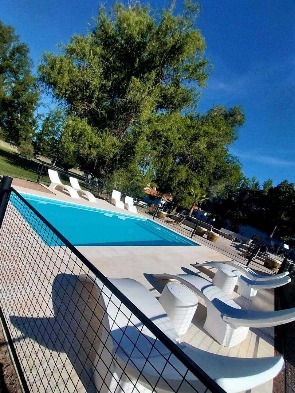 Swimming pool, Swimming pool