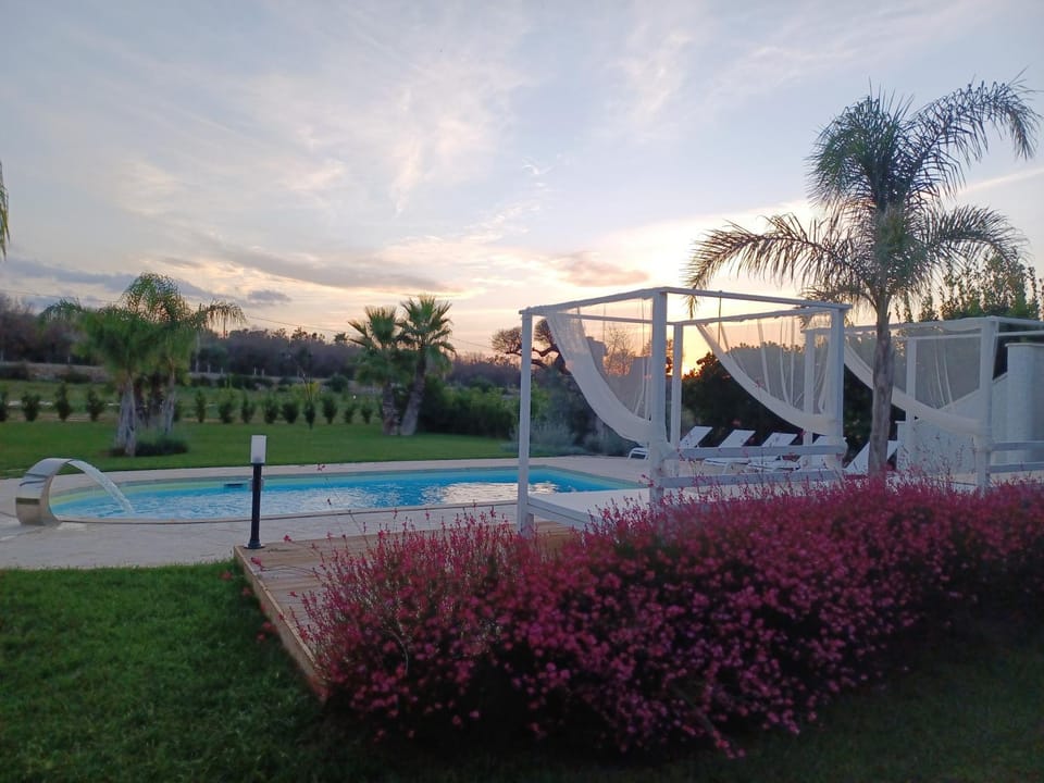 Garden, Swimming pool, Sunset