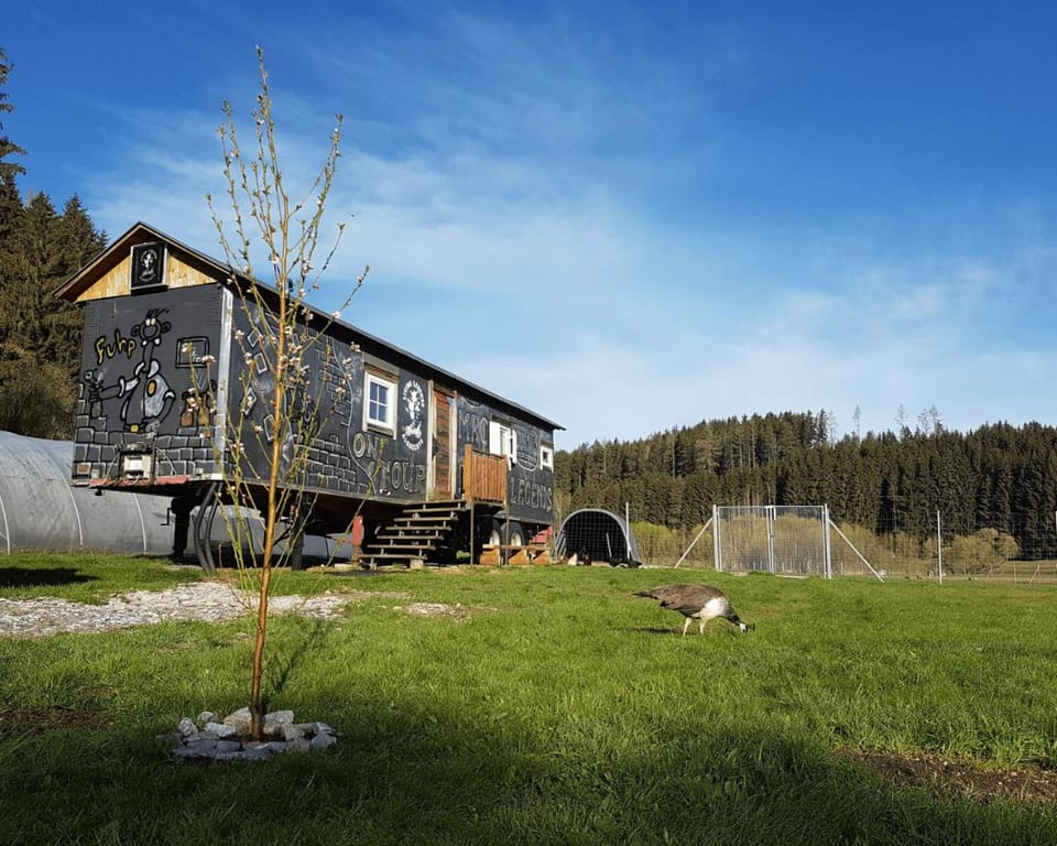 Property building, Spring, Day, Natural landscape, Garden, Garden, Garden view