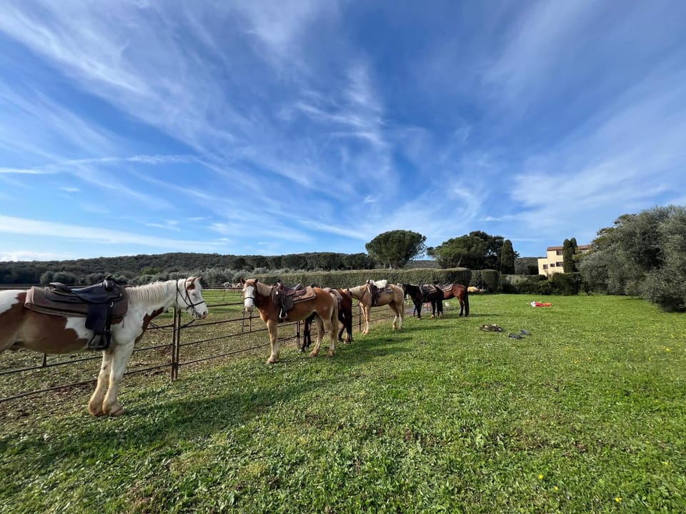 B&B VALLE D'ORO Bed and Breakfast in Tuscany