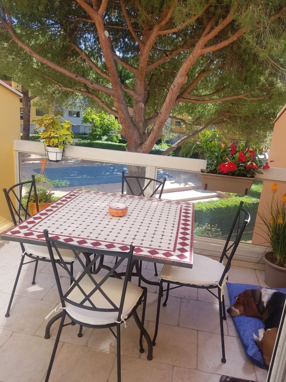 DUPLEX CAP D AGDE PISCINE Apartment in Agde
