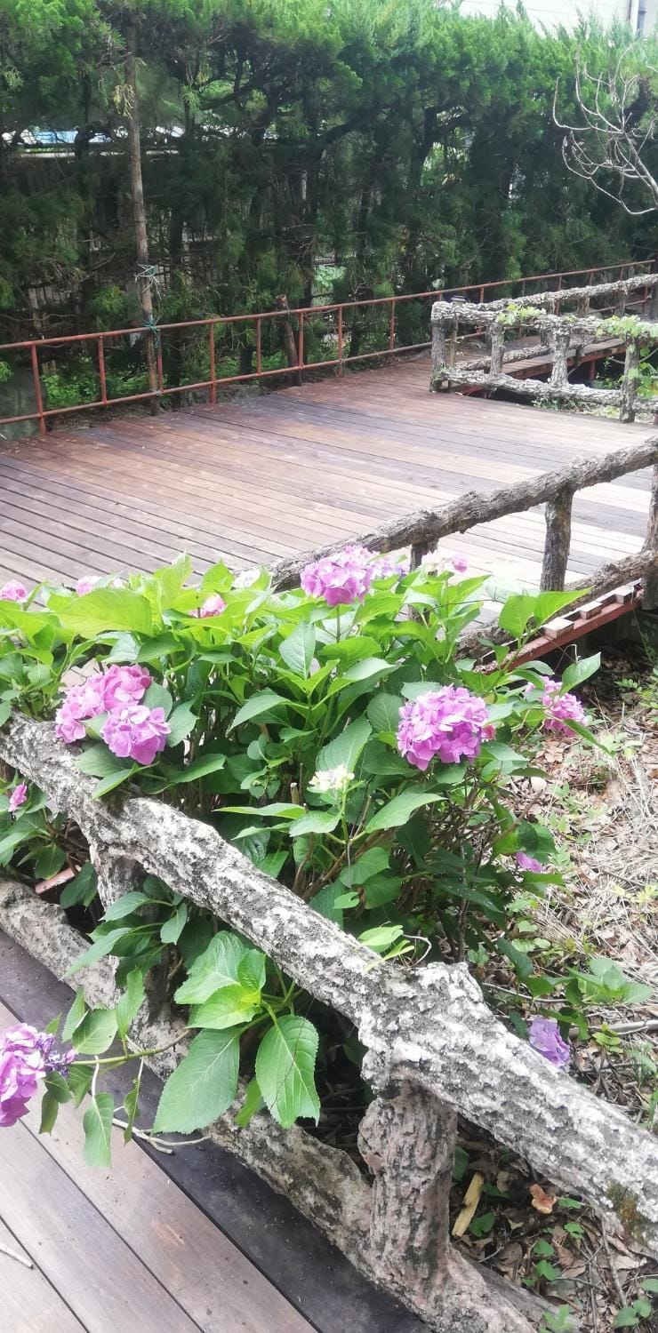 Suijin Hotel - Vacation STAY 23120v Hotel in Saitama Prefecture