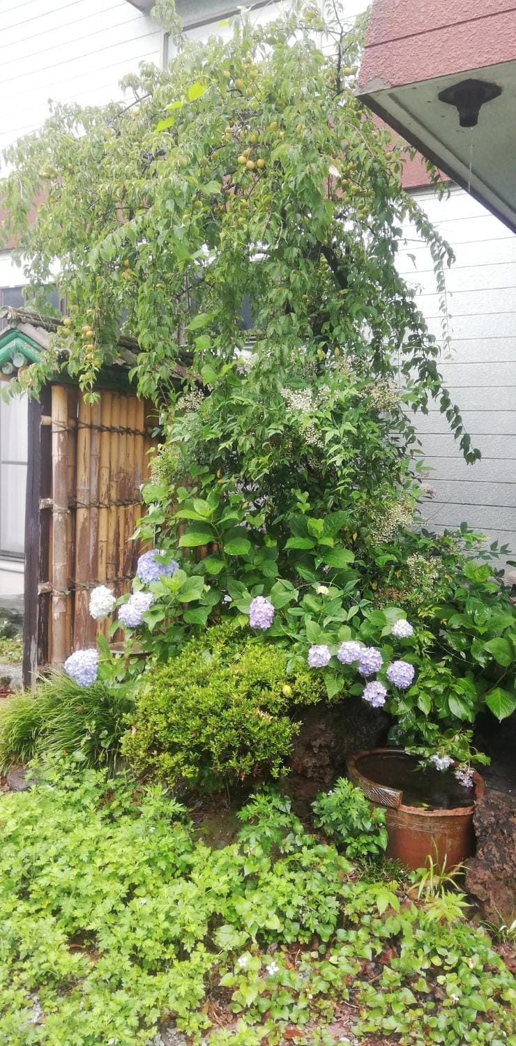 Suijin Hotel - Vacation STAY 23120v Hotel in Saitama Prefecture