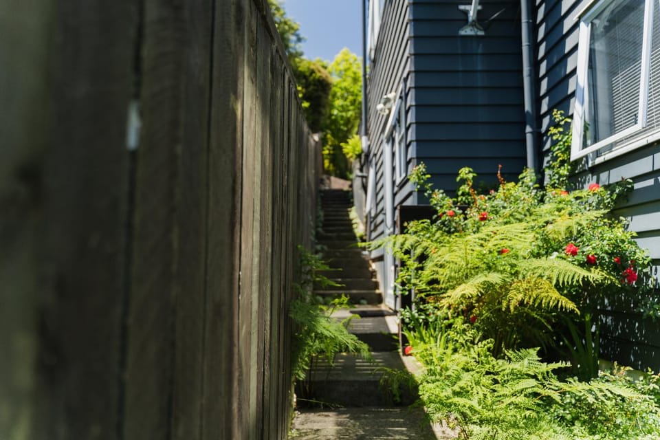 Property building, Day, Garden, Garden view