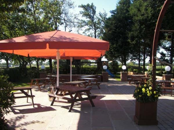 Patio, Day