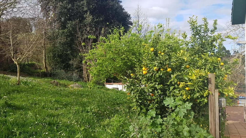 Garden, Garden view