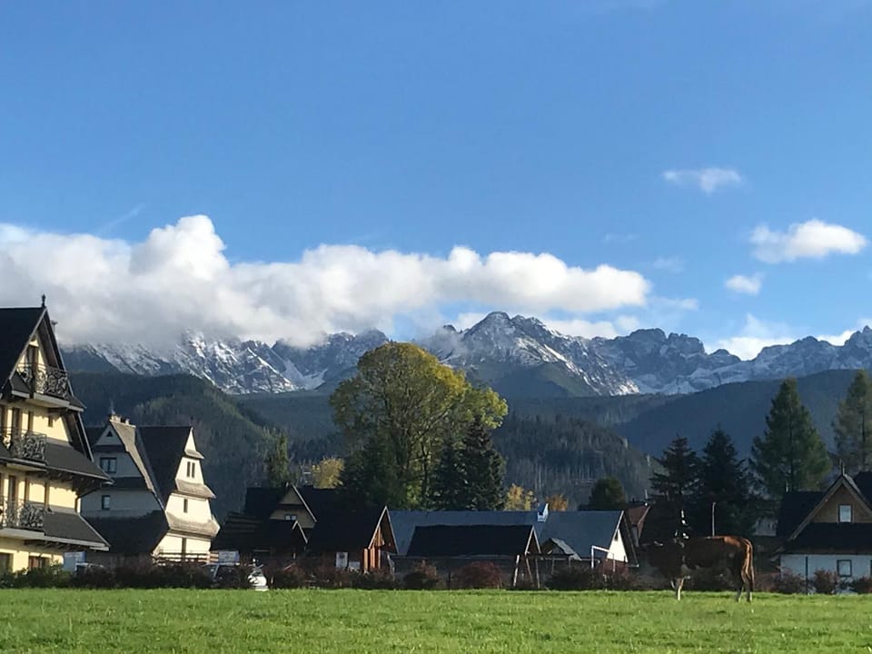 Spring, Mountain view
