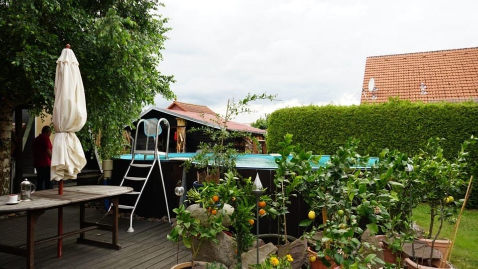 Pension Limone Ferienwohnung 2 Apartment in Berlin
