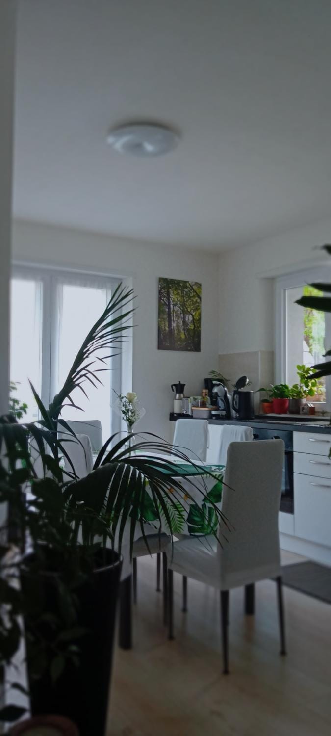 Appartment Lodged Mamma Maria Apartment in Trentino-South Tyrol