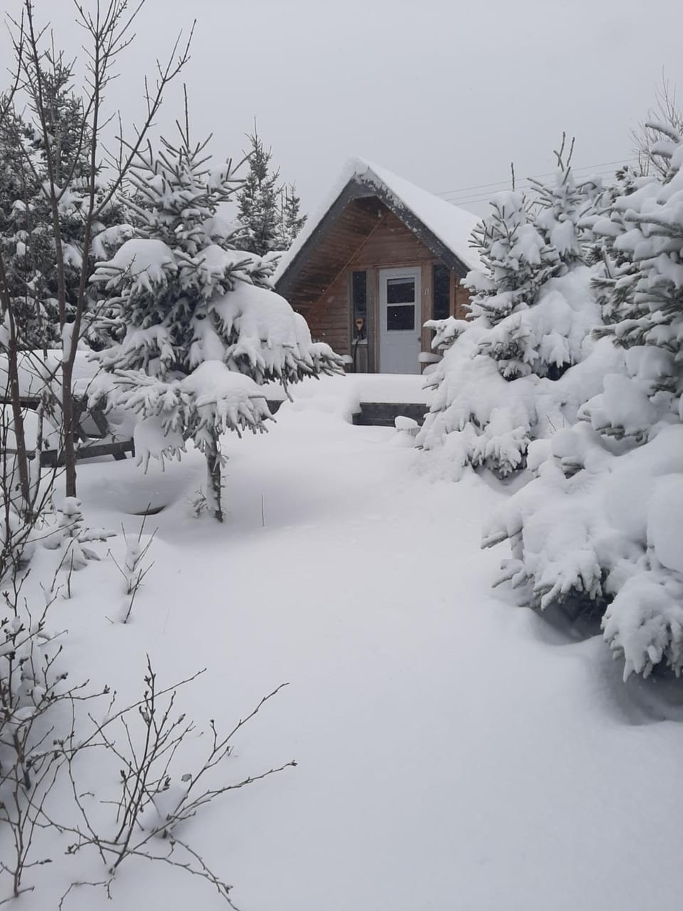 Property building, Winter