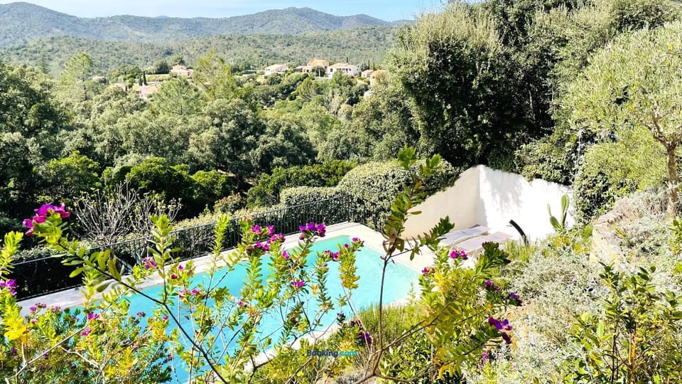 Garden, Garden, Garden view, Garden view, Swimming pool, sunbed