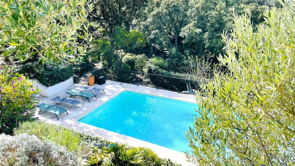 Garden view, Garden view, Swimming pool, sunbed