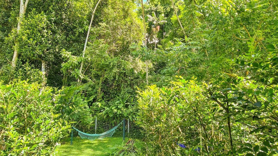 Natural landscape, Garden, Garden view