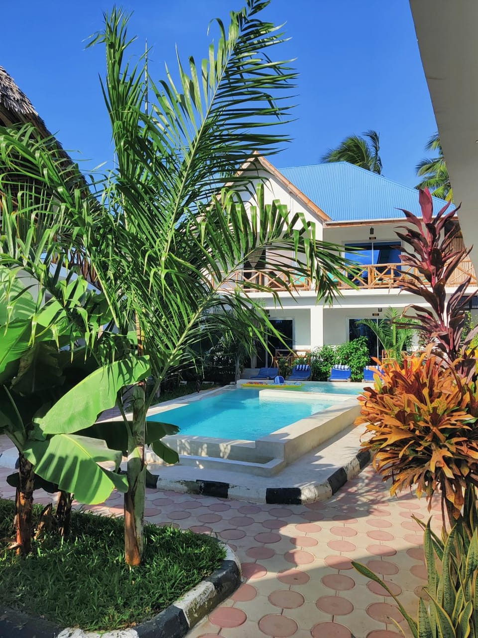 Garden, Swimming pool