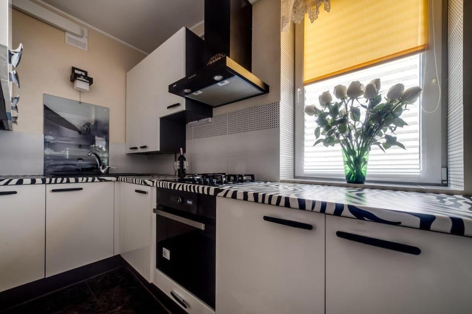 Apartamenty on Kryvonosa Apartment in Lviv