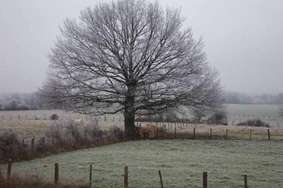 Natural landscape