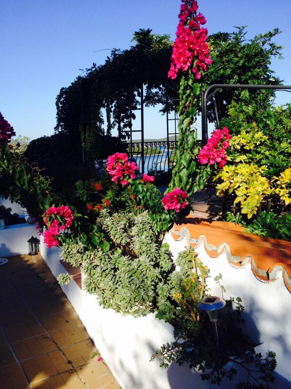 Property building, Balcony/Terrace