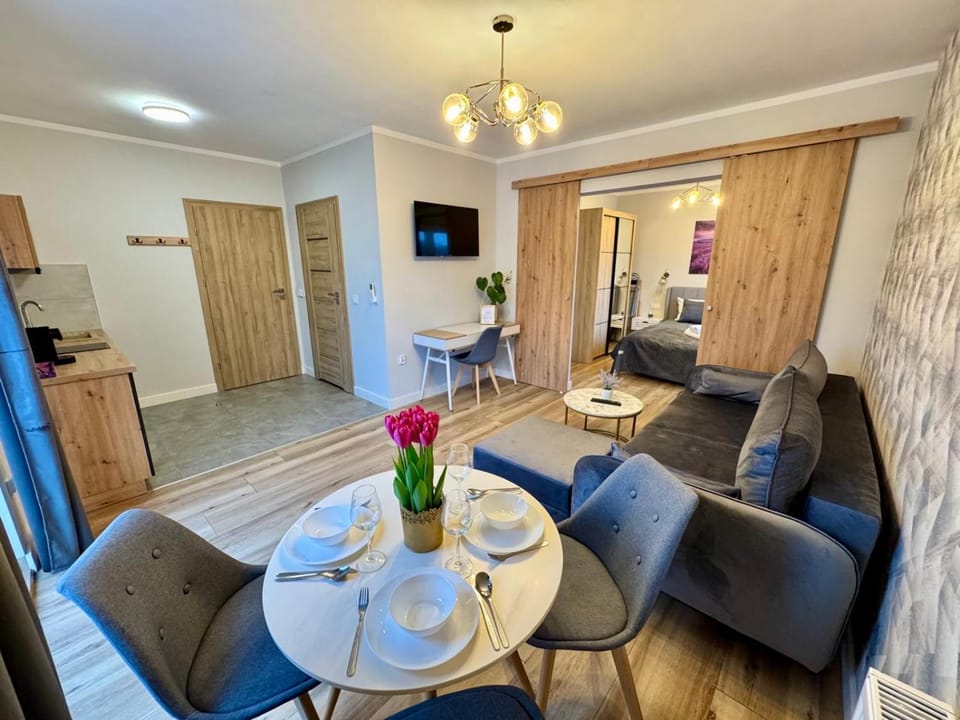 Communal lounge/ TV room, TV and multimedia, Kitchen or kitchenette, Seating area, Dining area