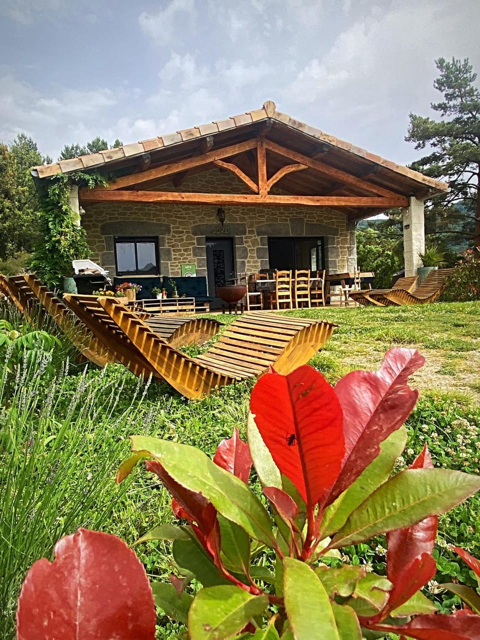 Spring, Garden, Garden view