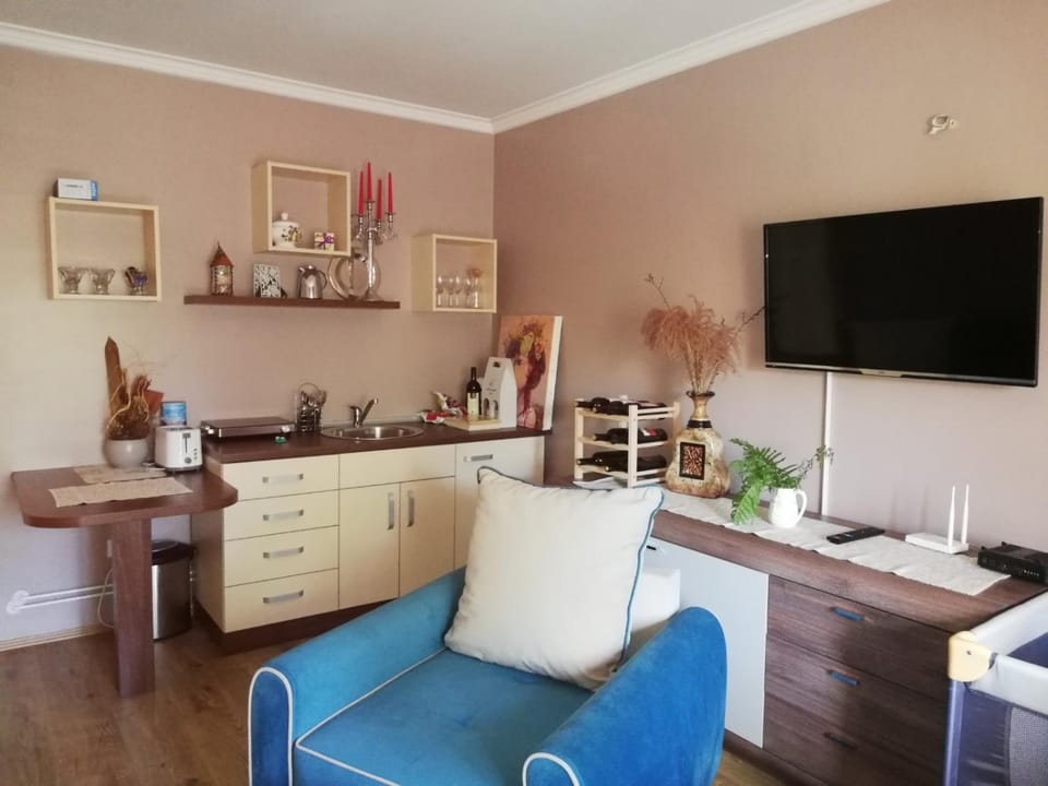 Studio Apartman Nevena Apartment in Serbia