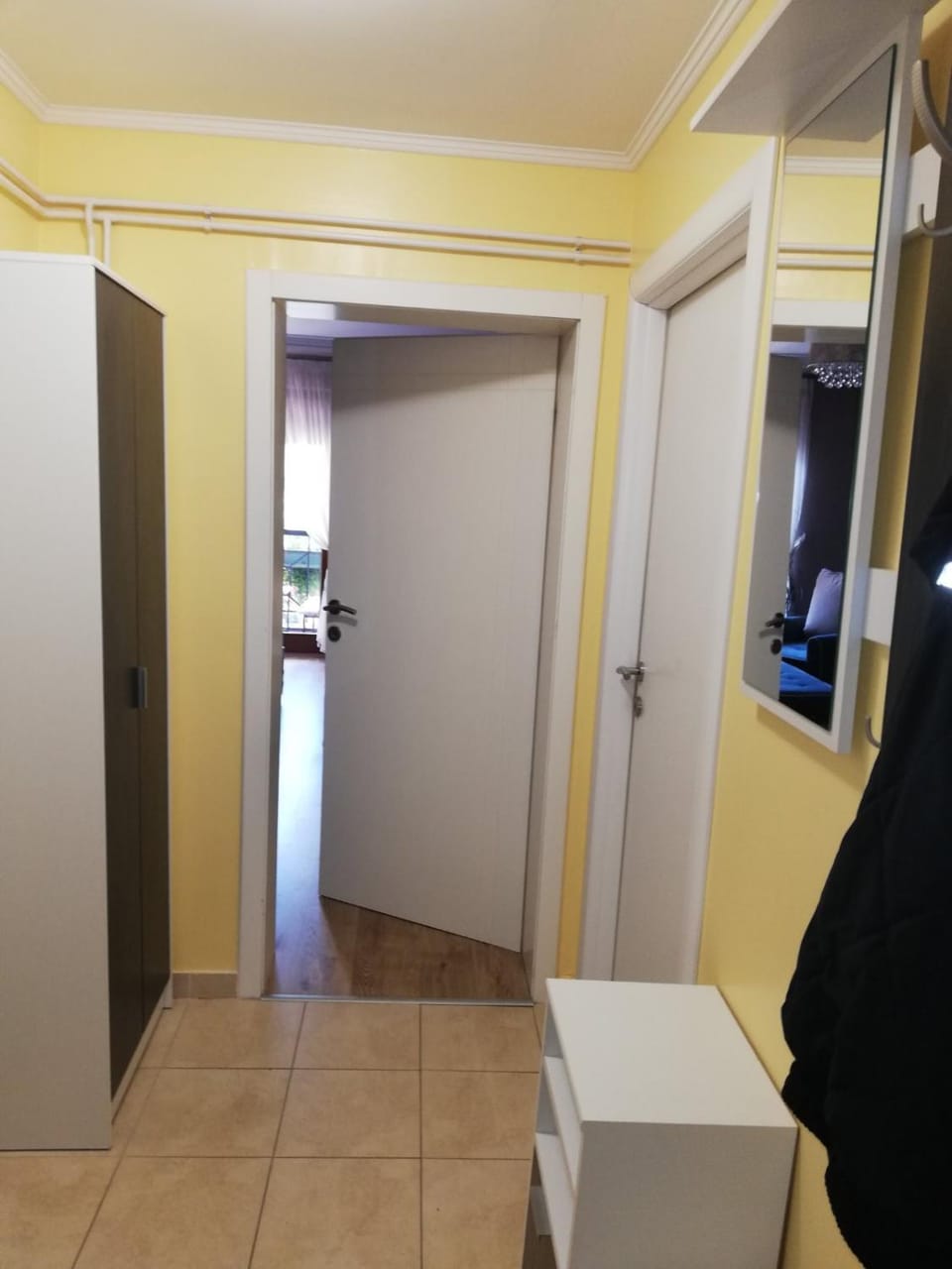 Studio Apartman Nevena Apartment in Serbia