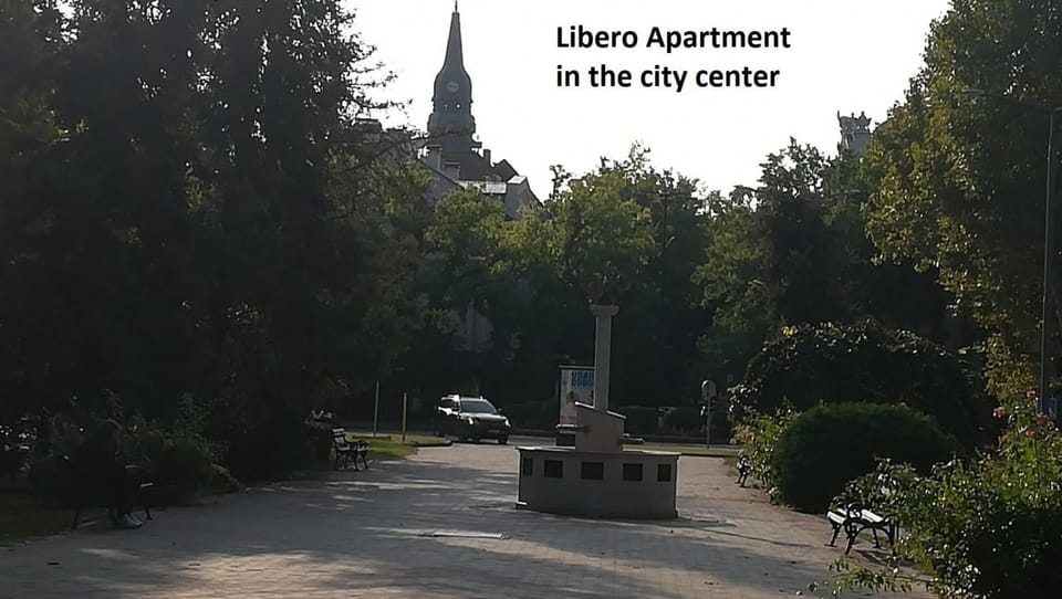 Libero Apartman Apartment in Vojvodina