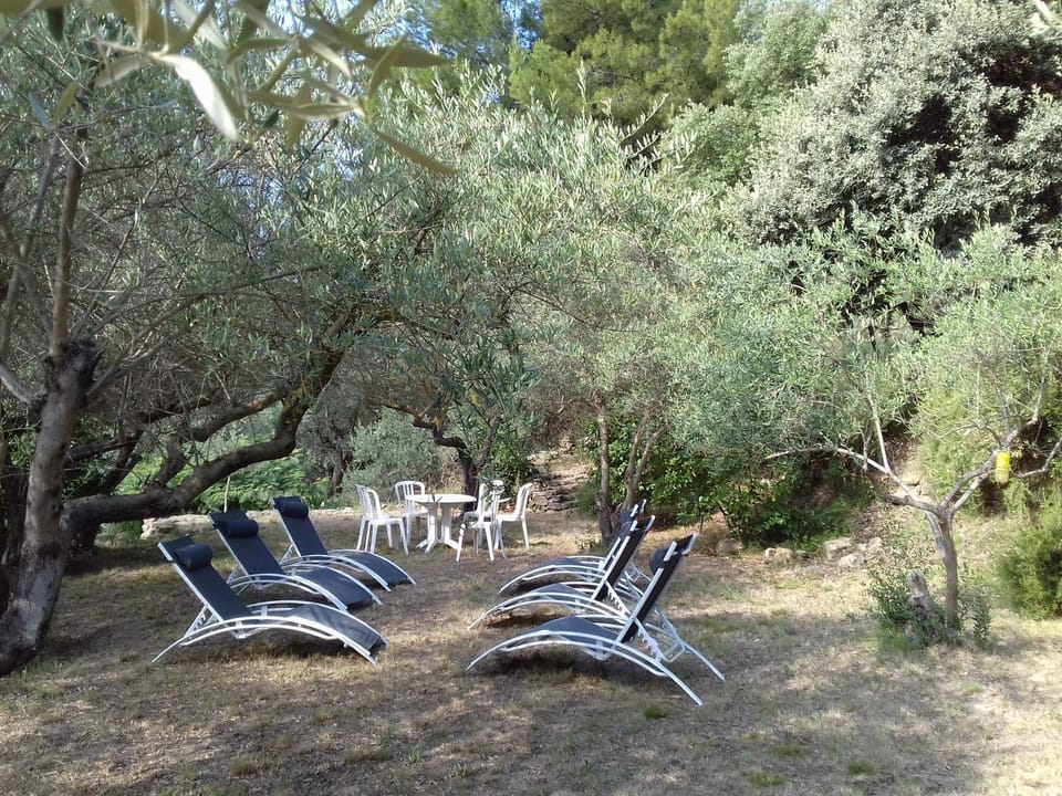 Patio, Garden, Solarium