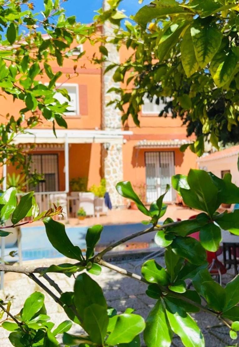 Property building, Day, Garden view