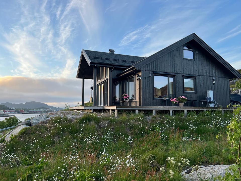 Property building, Summer, Garden