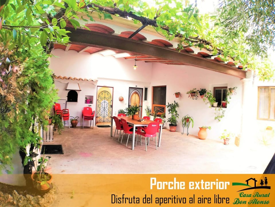 Patio, Garden, Garden view