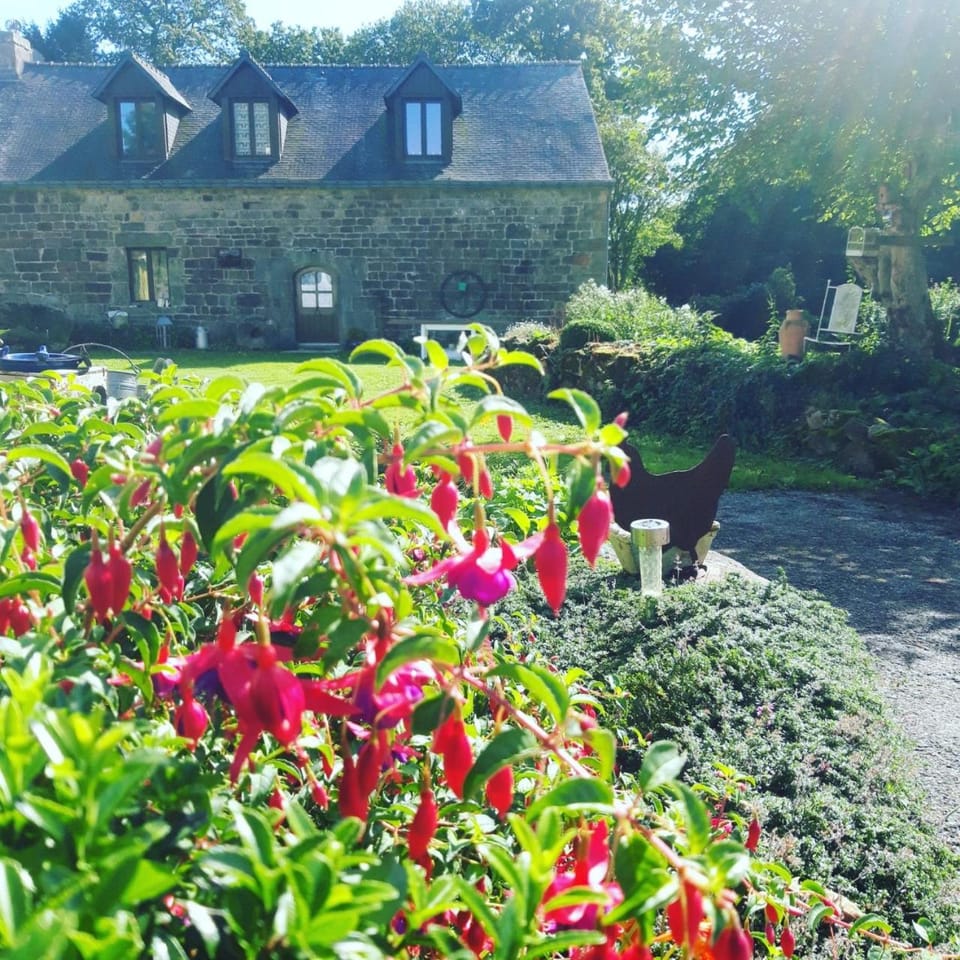 Facade/entrance, Garden