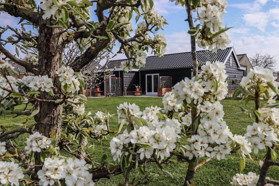 Property building, Garden, Garden