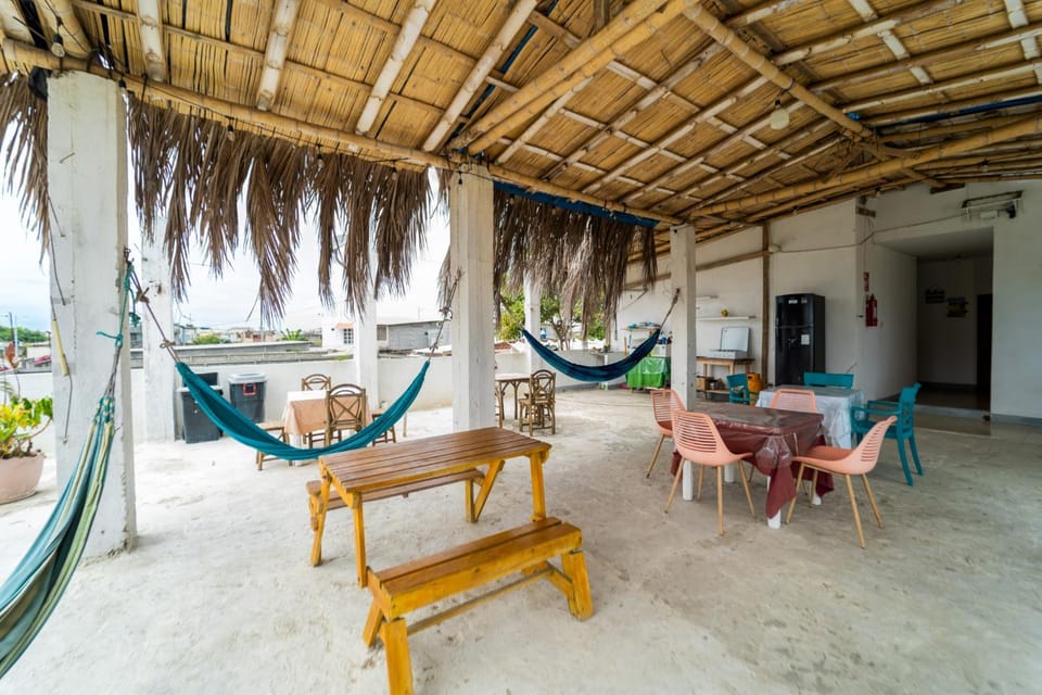 View (from property/room), Balcony/Terrace, Seating area
