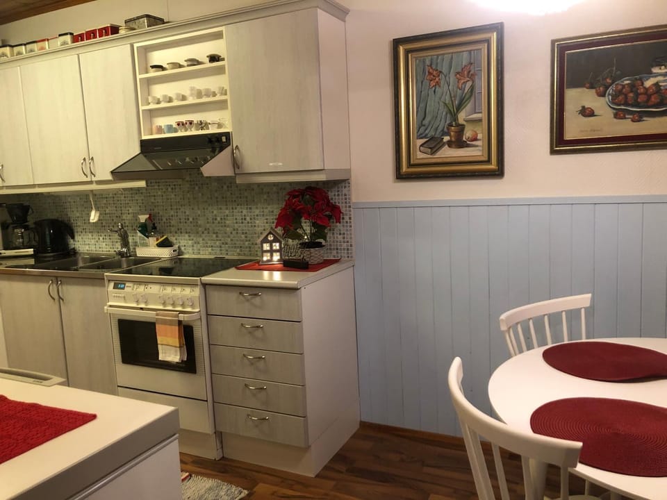 Arctic Circle Apartment Apartment in Rovaniemi