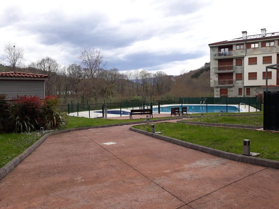 Garden, Garden view, Swimming pool
