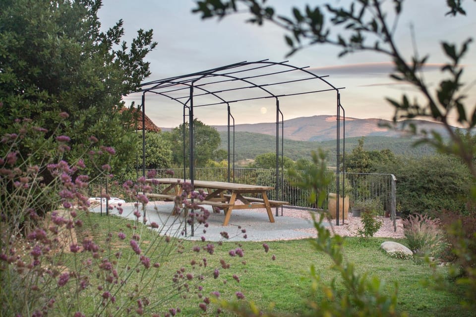 Natural landscape, Garden, Dining area, Garden view