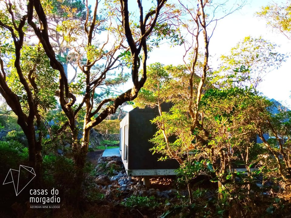 Natural landscape