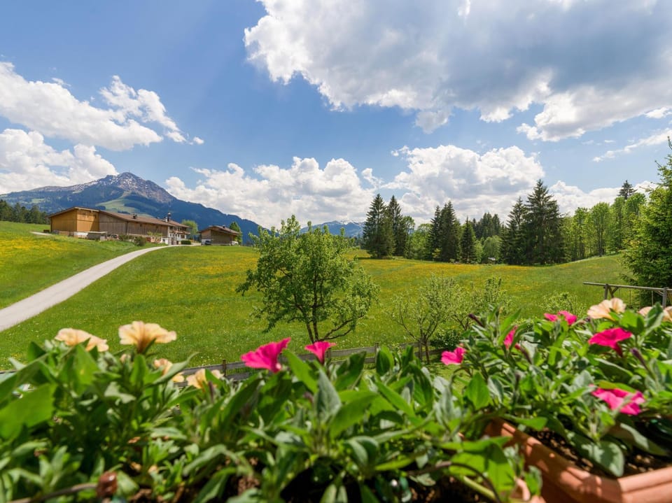 Natural landscape, Garden, Garden view, Mountain view