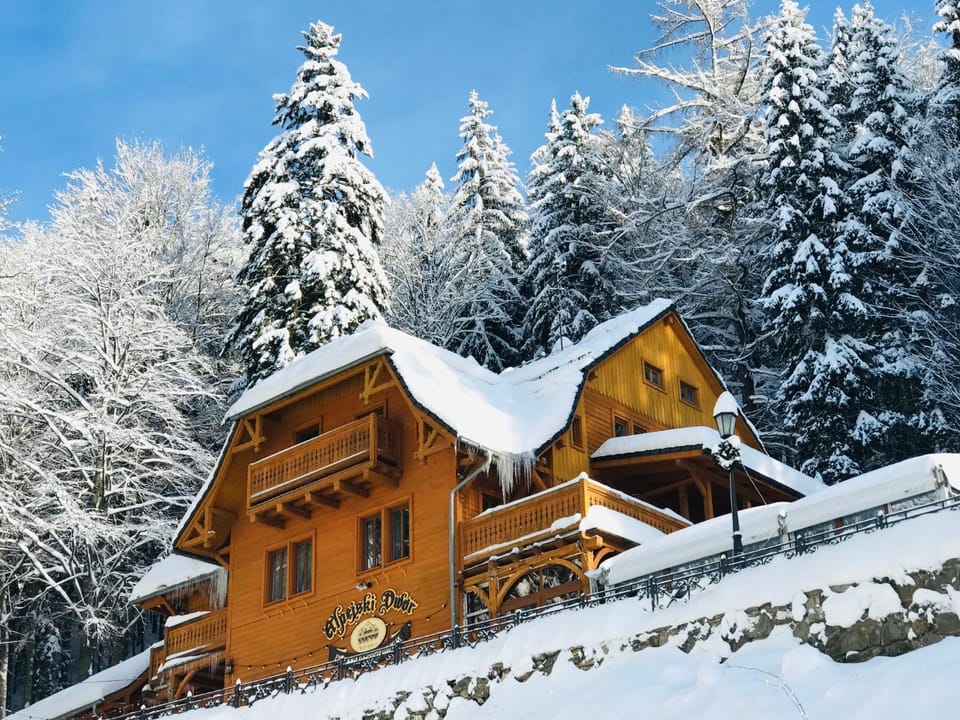 Pensjonat Alpejski Dwór Bed and Breakfast in Lower Silesian Voivodeship