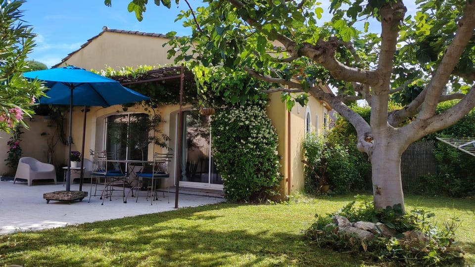 Garden, Garden view, sunbed