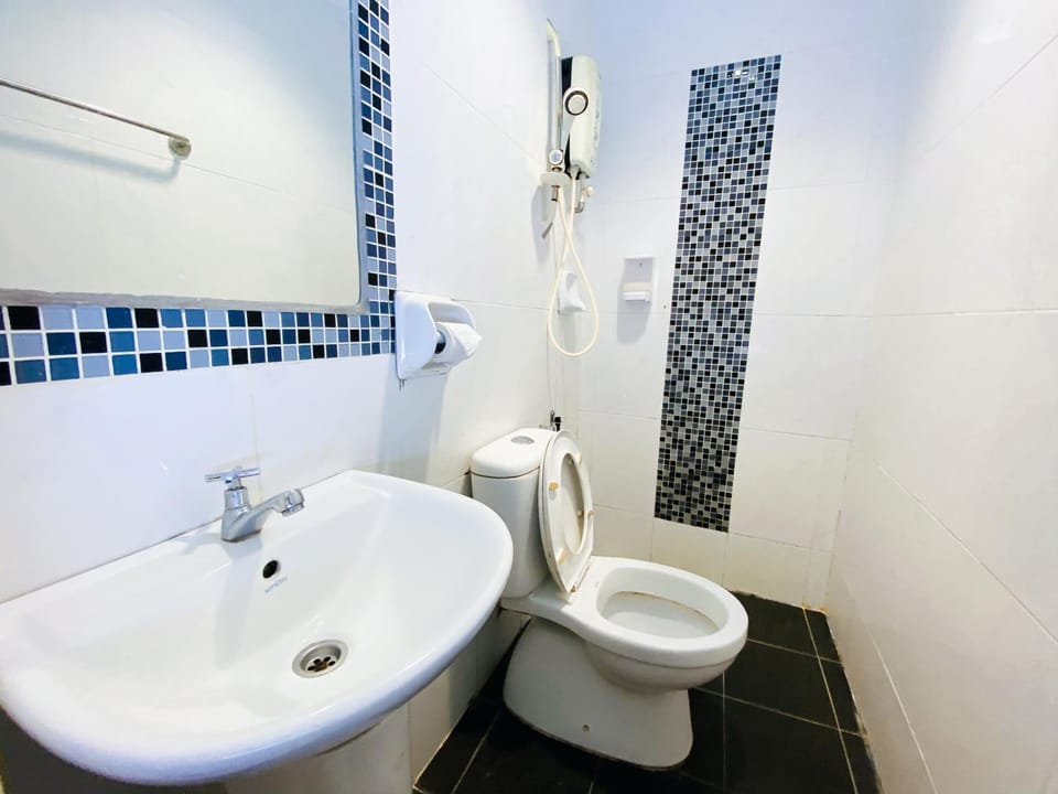 Shower, Toilet, Bathroom, bidet