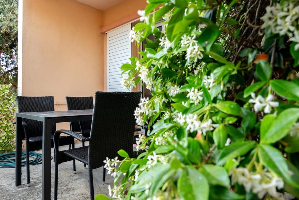 Amversa's House Apartment hotel in Thasos