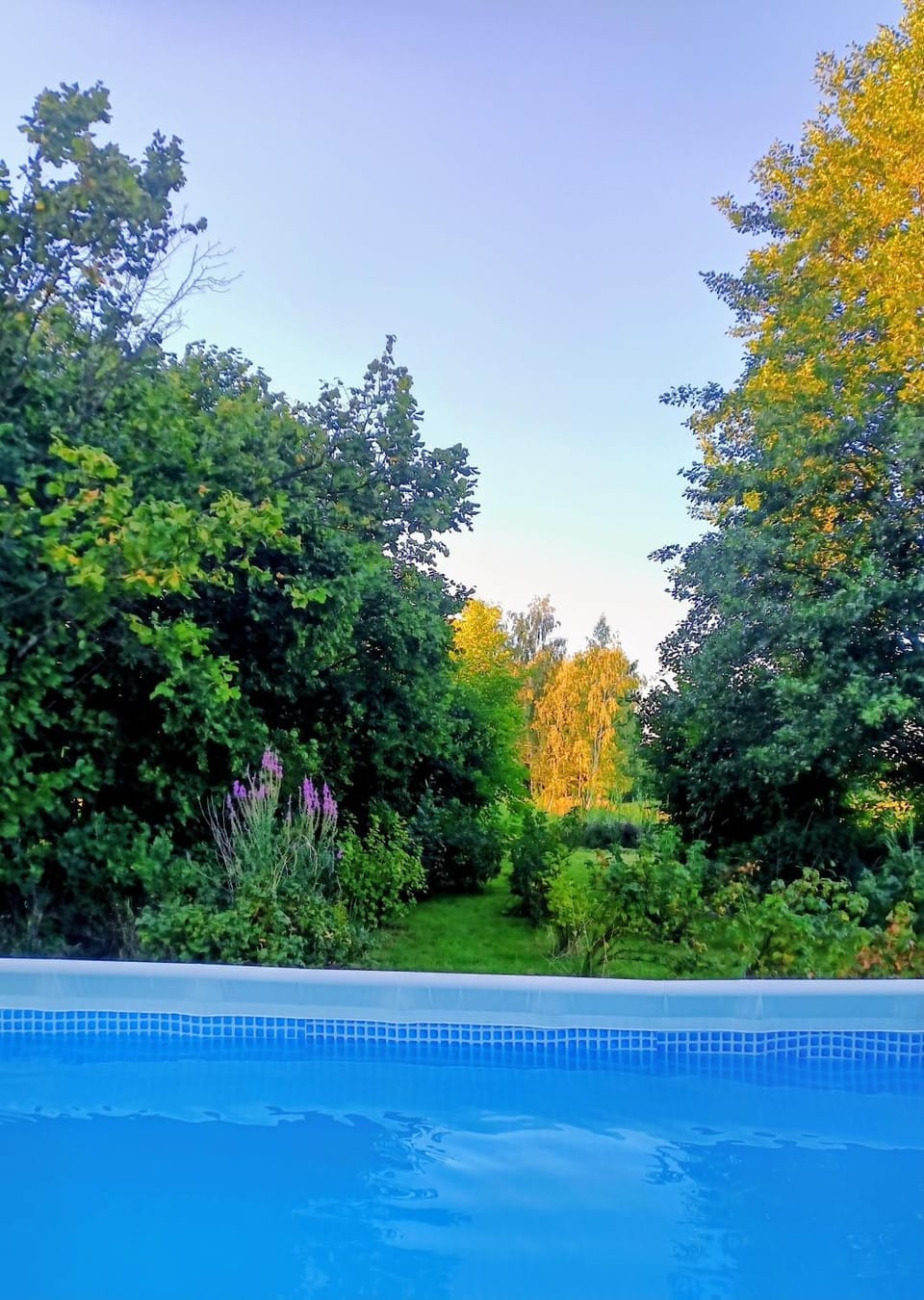 Garden, Garden view, Pool view, Swimming pool