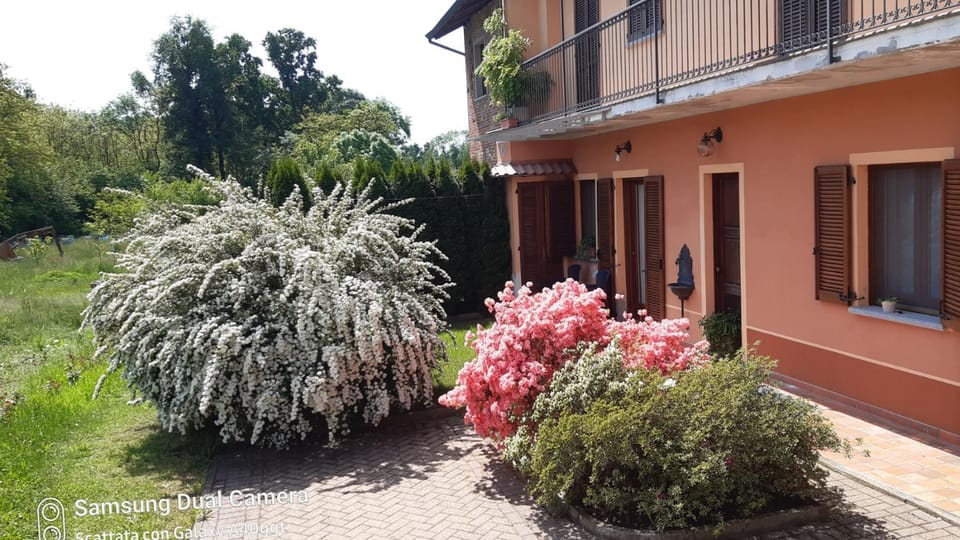 Property building, Spring, Garden