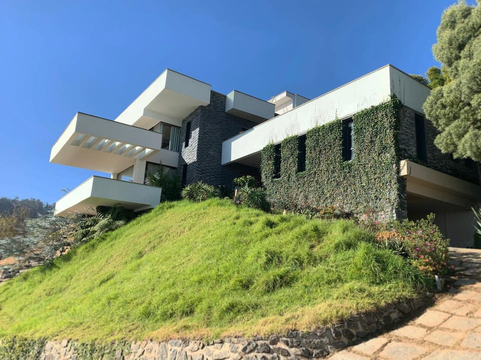 Property building, Day, Garden view