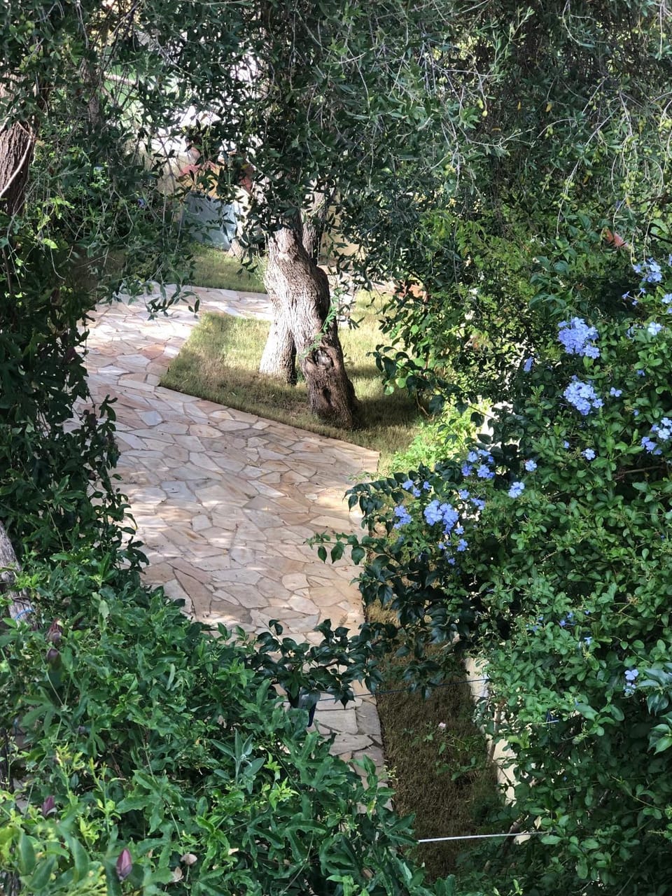 Spring, Garden