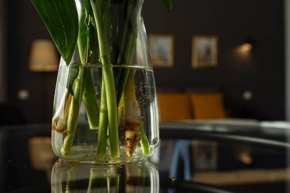 Millo Studio next to Cismigiu Park Apartment in Bucharest