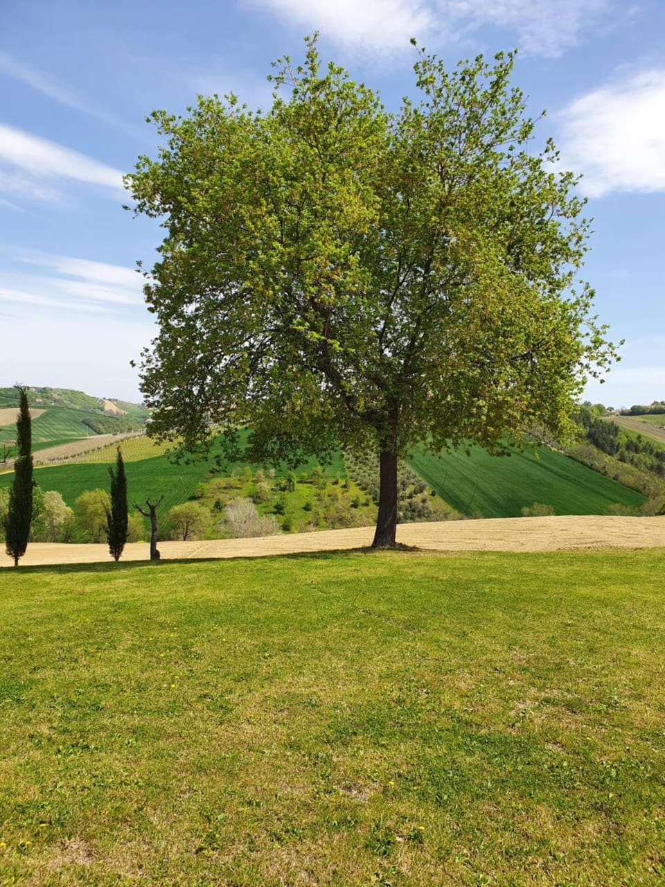 Natural landscape